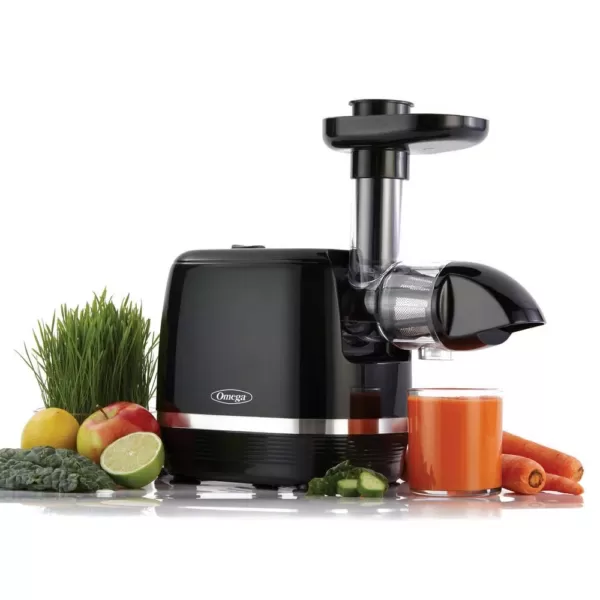 Omega Cold Press 365-Black Horizontal Slow Masticating Juicer