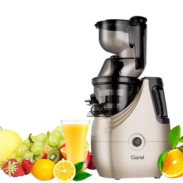 Boyel Living Champagne Slow Masticating Juice Extractor,Juicer Machine Champagne