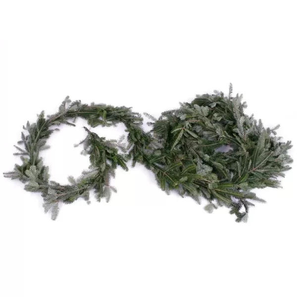 VAN ZYVERDEN 25 ft. Live Fresh Cut Blue Ridge Mountain Fraser Fir Coil Holiday Garland