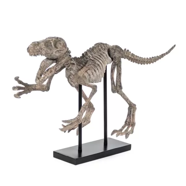 Zentique Polyresin Distressed Brown/Grey Velociraptor on Black Base