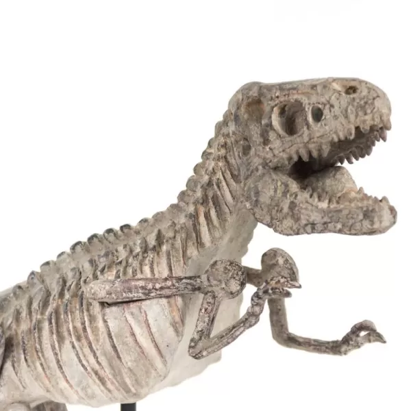 Zentique Polyresin Cast Distressed Brown/ Grey Tyrannosaurus Rex Skeleton w/Base