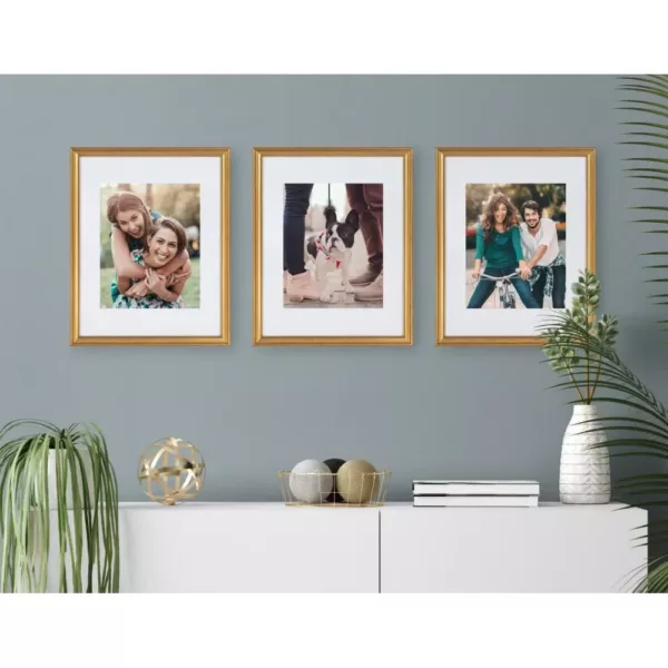 Kate and Laurel Adlynn 11 in. x 14 in. matted to 8 in. x 10 in. Gold Picture Frames (Set of 4)