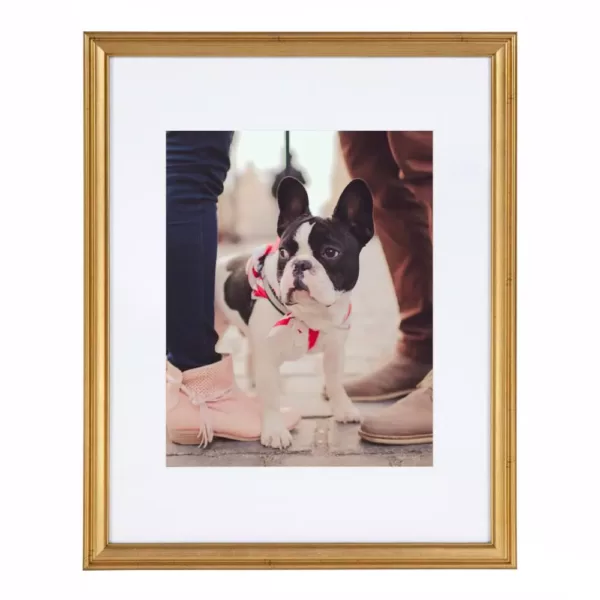 Kate and Laurel Adlynn 11 in. x 14 in. matted to 8 in. x 10 in. Gold Picture Frames (Set of 4)