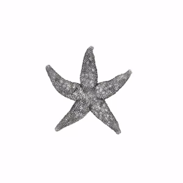 IMAX Magali Silver Starfish Wall Decors (Set of 3)