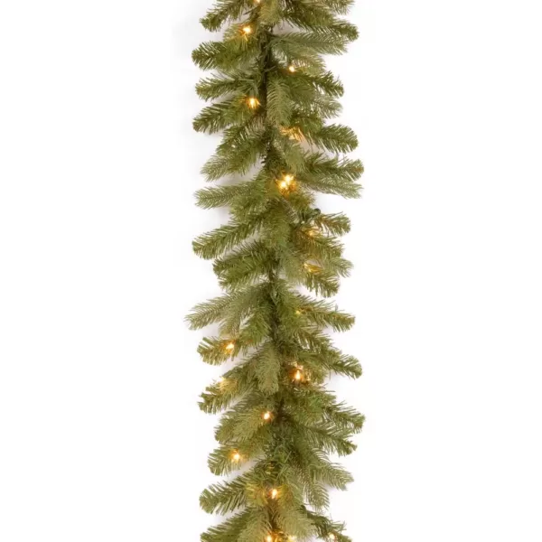 National Tree Company 9 ft. Downswept Douglas Garland with Warm White LED Lights