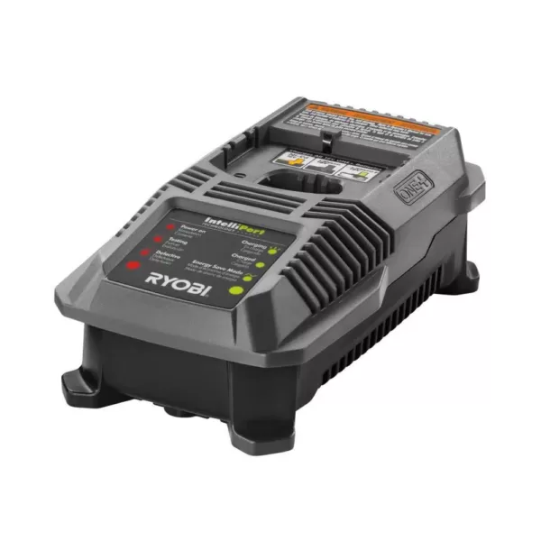 RYOBI 18-Volt ONE+ Lithium-Ion 2.0 Ah Battery and Dual Chemistry IntelliPort Charger Kit