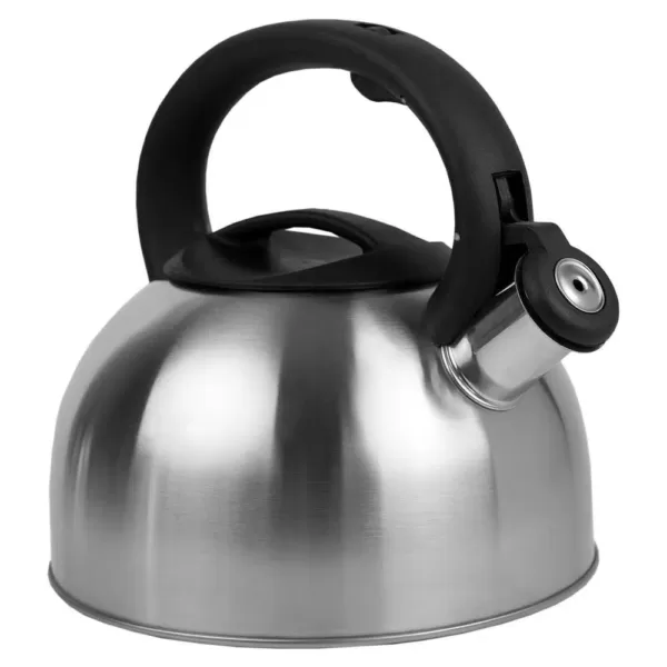 Home Basics Silver Tea Kettle