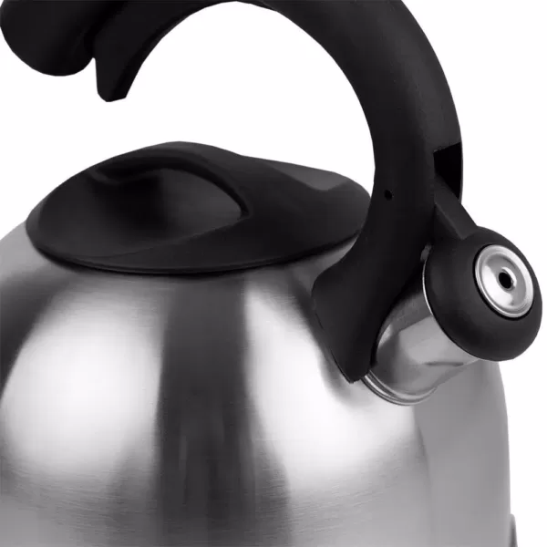 Home Basics 10.5-Cup Stainless Steel Tea Kettle