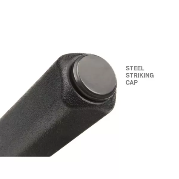 TEKTON 25 in. Angled Tip Handled Pry Bar with Striking Cap