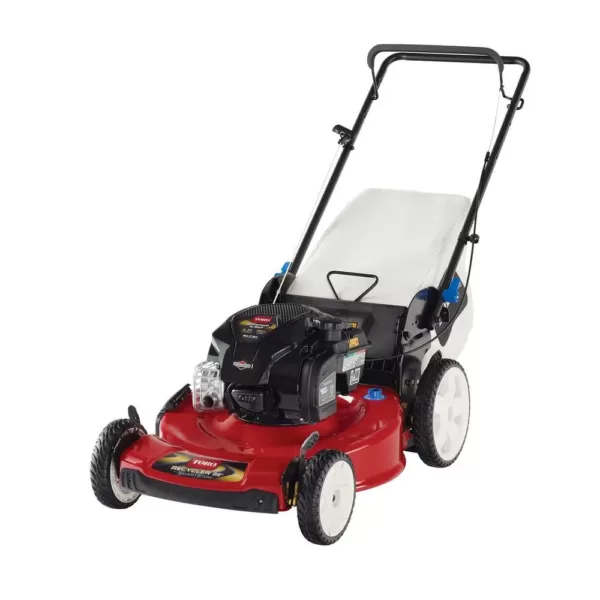 Toro Recycler 22 in. SmartStow Briggs and Stratton High Wheel Gas Walk Behind Push Mower