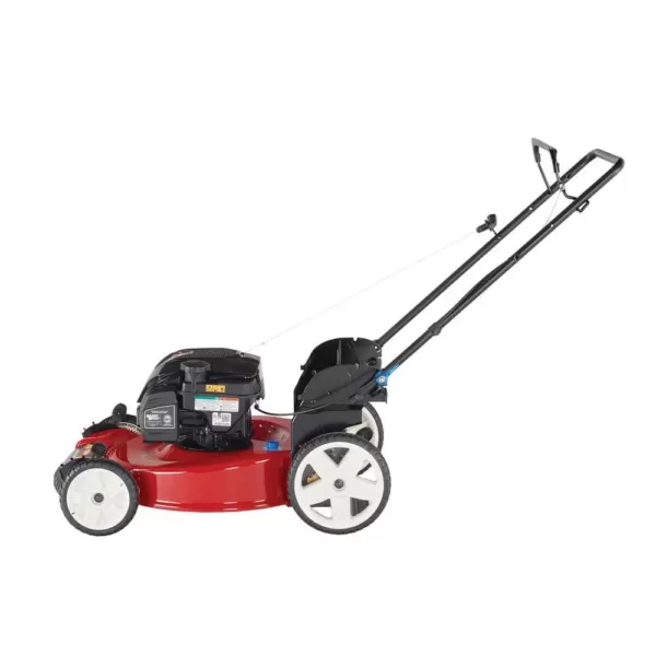 Toro Recycler 22 in. SmartStow Briggs and Stratton High Wheel Gas Walk Behind Push Mower