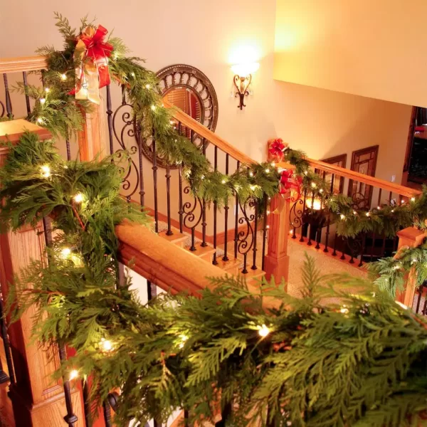 VAN ZYVERDEN 10 ft. Live Fresh Cut Pacific Northwest Cedar Mix Coil Garland