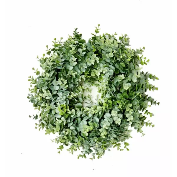 Worth Imports 16 in. Eucalyptus Wreath